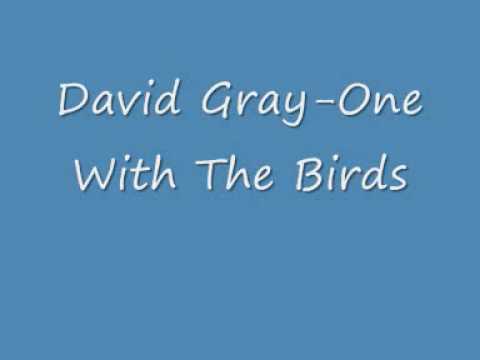 David Gray One With The Birds