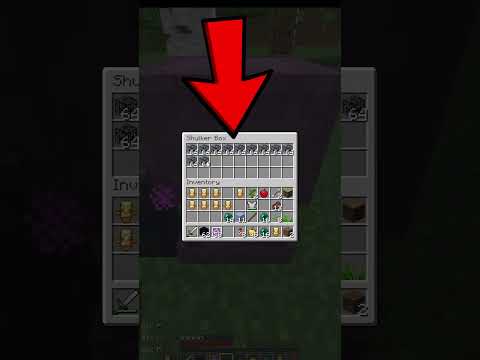 Dupe Spawners In Donut SMP