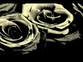Terranova - Never