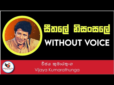 Seethale Nisansale Karaoke (Without Voice) || Wijaya Kumarathunga