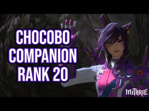 FFXIV 3.4 0983 Chocobo Companion Rank 20