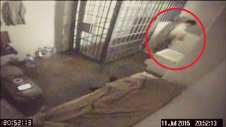 5 Real Prison/Jail Escapes Caught On Camera