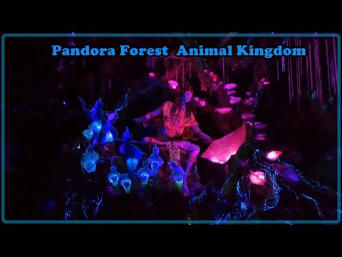 🎥4K Avatar Land Boat Ride🎢Аватар 🌸Пандора Дисней Тематический Парк Царство Зверей Орландо Флорида
