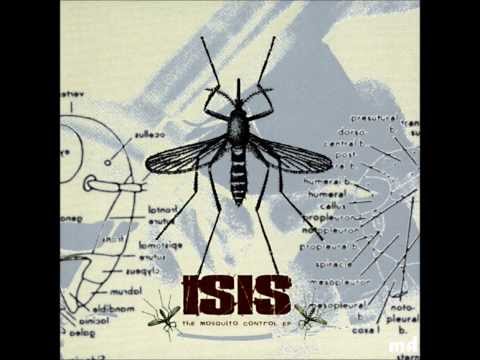 download lagu mp3 mp4 Isis Relocation, download lagu Isis Relocation gratis, unduh video klip Isis Relocation