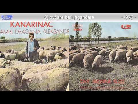 Dragoslav Mihajlovic Kanarinac - Oj ovcare beli jagancare - (Audio 1975)
