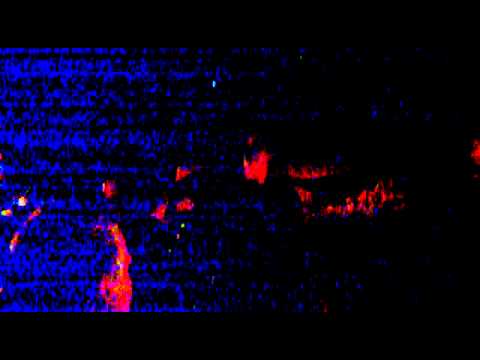 Traumagain @ Piadina 114 (2)