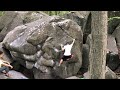 Bubblicious (V1) - Haycock Bouldering: Hangar 18 (Main Area)