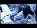 Morpheus Mike: Willis O’Brien’s Stop-Motion Short WITHOUT Dinosaurs 1915