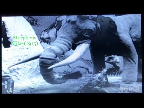 Thumbnail for video: Morpheus Mike: Willis O’Brien’s Stop-Motion Short WITHOUT Dinosaurs 1915 Thumbnail for video: Morpheus Mike: Willis O’Brien’s Stop-Motion Short WITHOUT Dinosaurs 1915