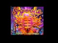 Shpongle - Museum of Consciousness (New album ...