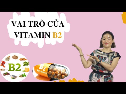 , title : '✅ VitaminB2 có tác dụng gì? ✅ VitaminB2 có trong thực phẩm nào?/ Đỗ thủy - giảm cân tại nhà'