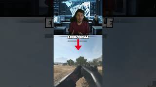 Le chat de proximité