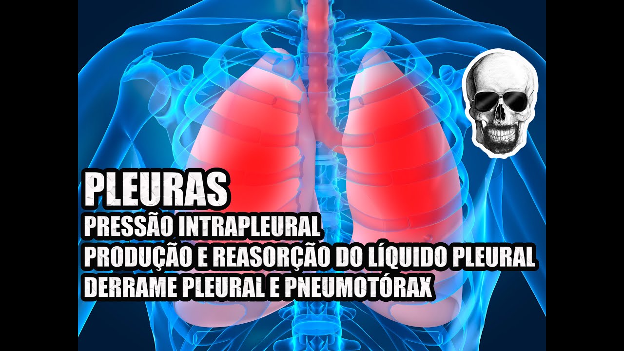 Vídeo Aula 141 - Anatomia Humana - Sistema Respiratório: Pleuras, Derrame Pleural e Pneumotórax