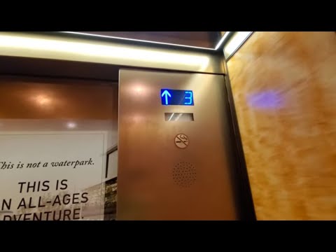 M6 Wing ThyssenKrupp Elevator @ Gaylord Opryland Resort, Nashville, TN