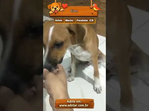 Vídeo de Eros