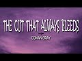 Conan Gray The Cut That Always Bleeds Lyrics