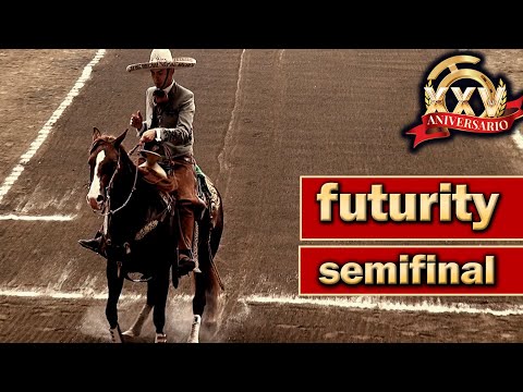 Caladero Futurity Semifinal - Top 10 Horses Part 2 - 2022 Millionaire Championship THV