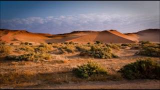 צמאה לך נפשי של חב"ד בביצועו של מרדכי בן דוד