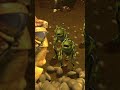 Ants Vs Grasshoppers Epic Showdown A Bug S Life Disney Kids
