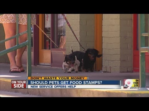 Special food stamps for pets?