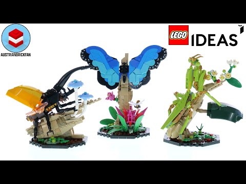 Vidéo LEGO Ideas 21342 : La collection d’insectes