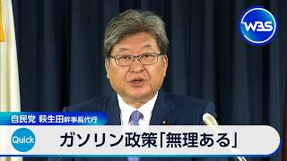 ガソリン価格抑える支援策「見直さず続けるのは無理ある」 自民党 萩生田幹事長代行【WBS】