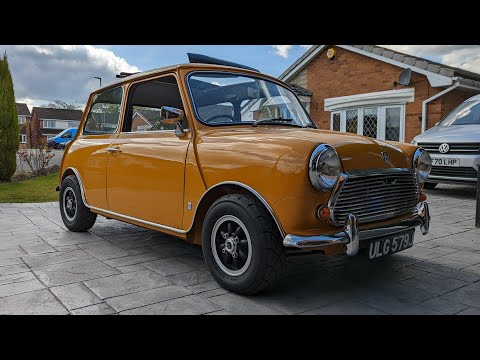 The 60 quid Rose petal modification 💯 #Vortz