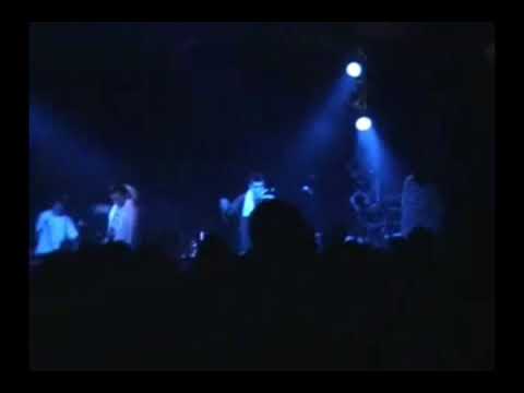 Rista Ziplok nastup 2006