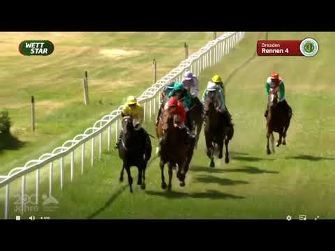 Galopprennbahn Dresden - 18.06.2022 - 4.Rennen