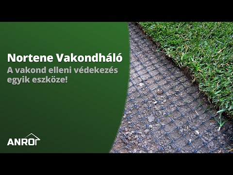 a vakond körül vörös folt viszket vörös napfoltok a kezeken