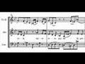 J.S. Bach: Mass in B minor "Agnus Dei" - Andreas ...