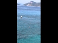 IMG 5059