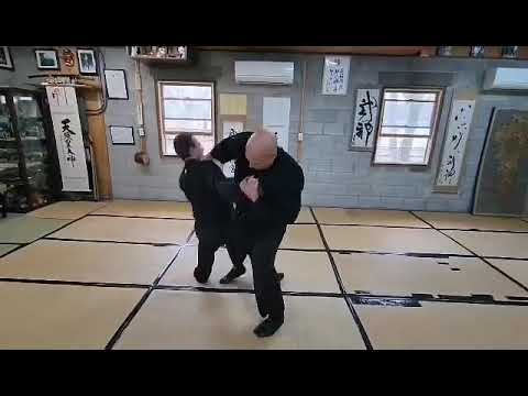 Bujinkan Nage Waza