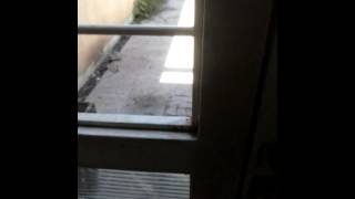 lola abre la puerta