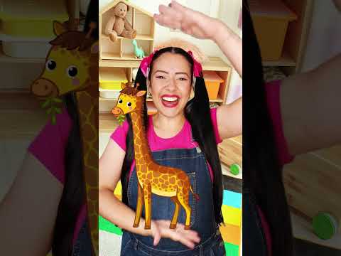 🎶 Música Infantil em Inglês: This is Big – Aprendendo Tamanhos com Tia Mary! 🖐️✨