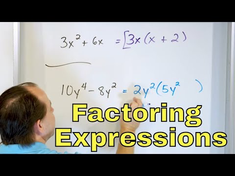 Factoring Polynomials & Expressions - [7-3-13]
