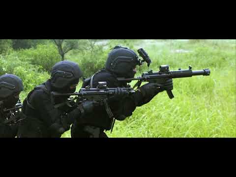 sample43