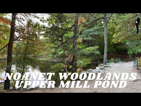 Noanet Woodlands - Upper Mill Pond - Dover, MA