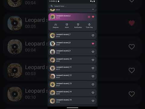 Leopard Sounds