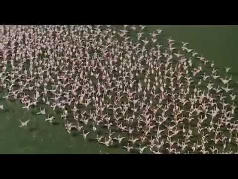 Charlie North - Wide Open Spaces *k~kat chill café* SmoothLoft