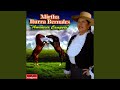 El Rodeo Chileno
