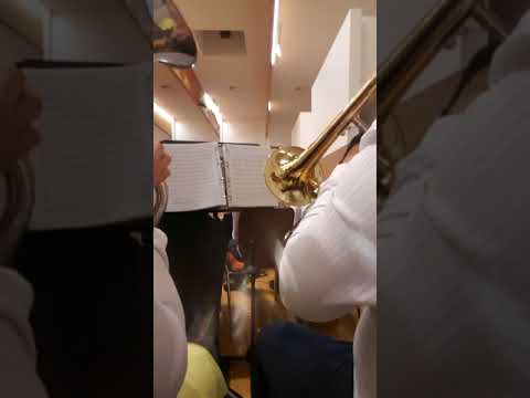 fanfara Wiener Neustadt Wien 01