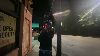 Nassourdine Chevalier - Moths (Entrance Theme)