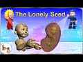 The Lonely Seed -  Story on birth of plant - Bodhaguru Animated Stories | Moral Stories for Kids