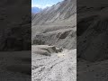 channel