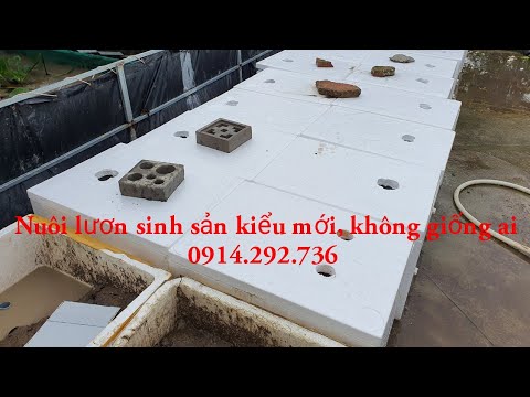 Mô hình nuôi lươn sinh sản cải tiến p3 | 0914.292.736