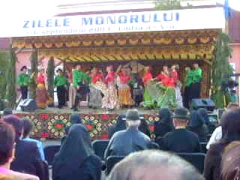 Ansamblul Muresul la Zilele Monorului (sept 2009)