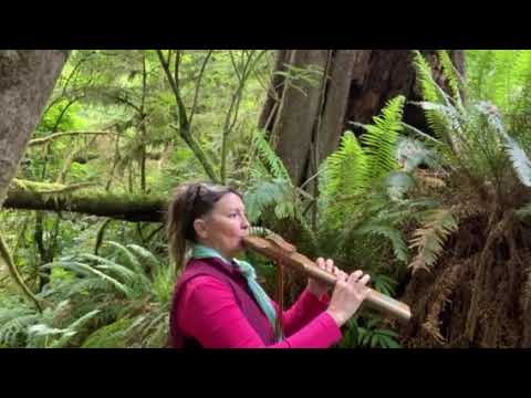 Triple drone improvisation.