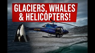 ATVs, Helicopters & Whales! 🚁🐋 | Alaska Cruise Short