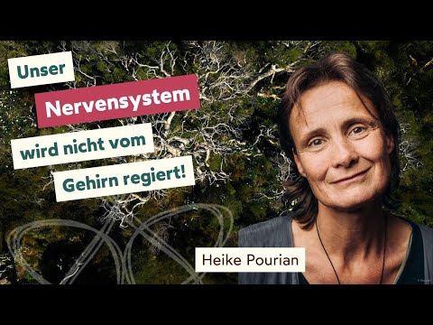 Engagieren ohne Auszubrennen - Heike Pourian über Regeneration